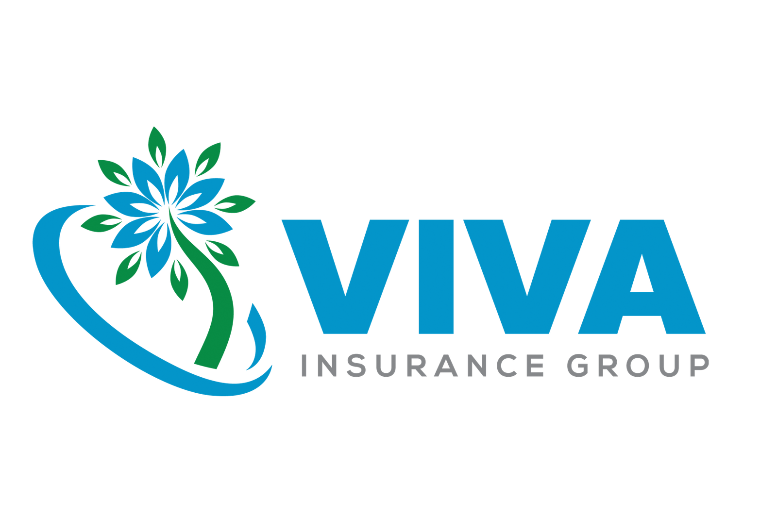 vivainsurancegroup.com